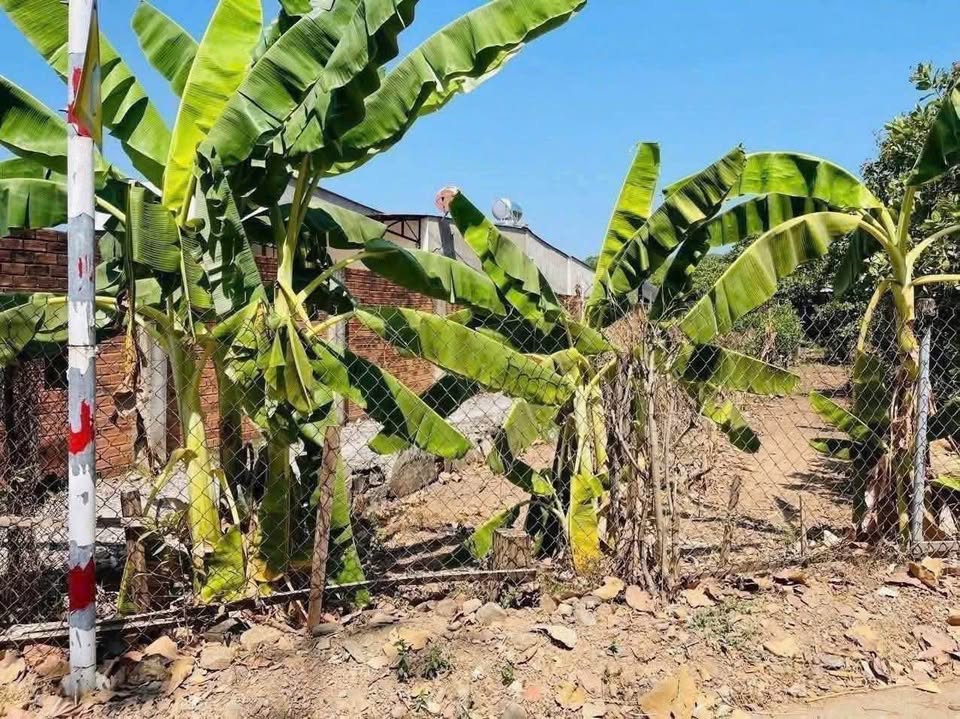 Cần bán gấp nền đất 5m x 24m full thổ cư tại xã Định Quán, tỉnh Đồng Nai