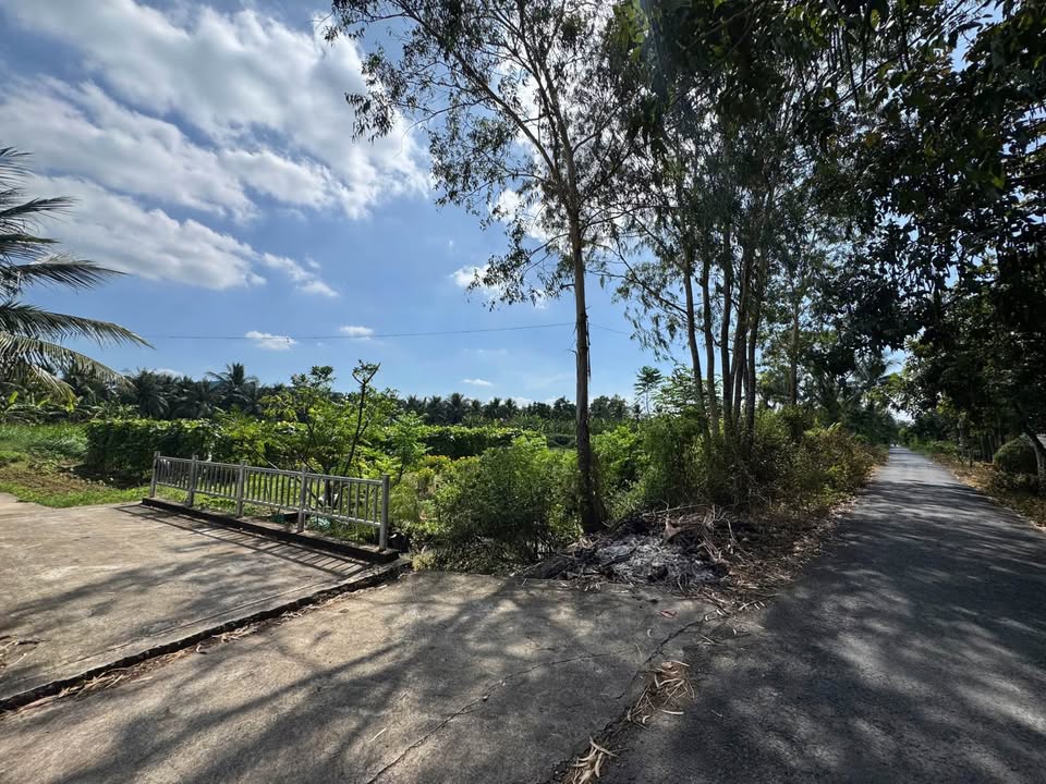 Cơ hội sở hữu ngay 3 lô đất vàng mặt tiền đường D11, chỉ cách sân bóng Cửu Long 200m