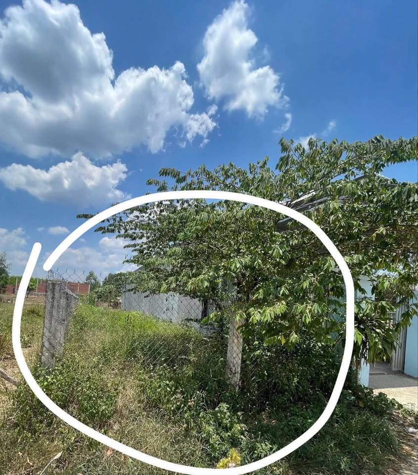 Đất vàng Tân Yên, 200m2 thổ cư, giá hời cho nhà đầu tư tương lai