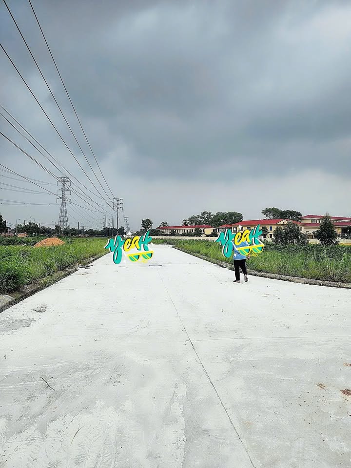 Bán đất đấu giá tại An Hòa, Tam Dương, Vĩnh Phúc, 126m2, mặt tiền 7m, sẵn sổ hồng, giá đầu tư