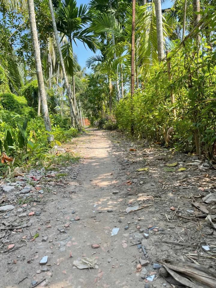 Đất Sơn Đông 1000m2, ngang 20.5m, sát siêu thị Go, chỉ 2.2 tỷ