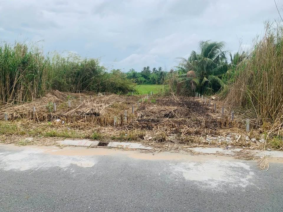 Khu vực này nổi tiếng an ninh, yên tĩnh, cực kỳ thích hợp cho việc định cư lâu dài