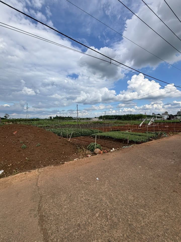 Chào mừng quý khách đến với "thiên đường" an cư và đầu tư tại Đồng Nai