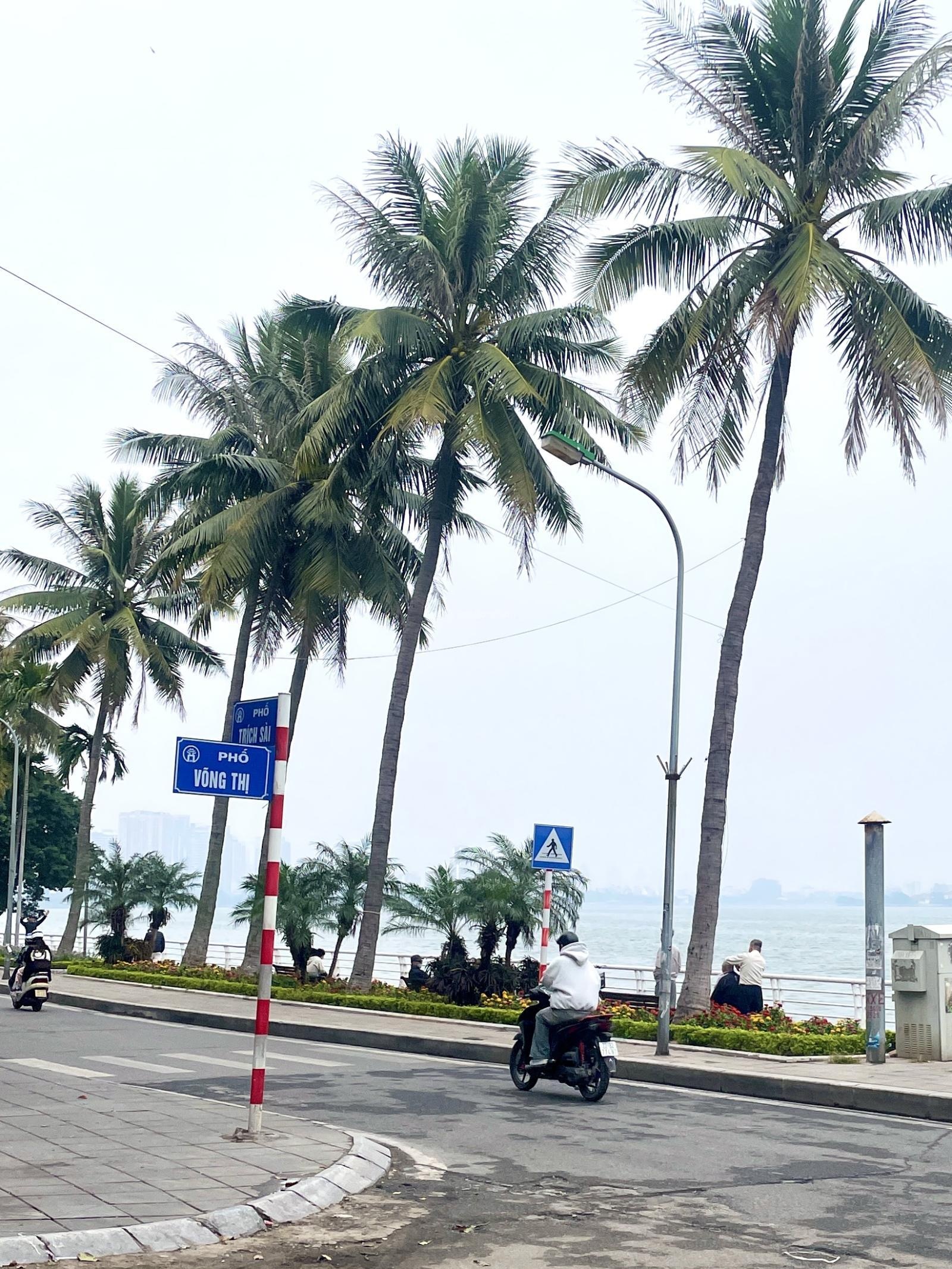 Gia Đình bán CCMN Thuỵ Khuê 52m-16t.ỷ5 mt 8.4M - Ngõ thông hồ Tây, Võng Thị