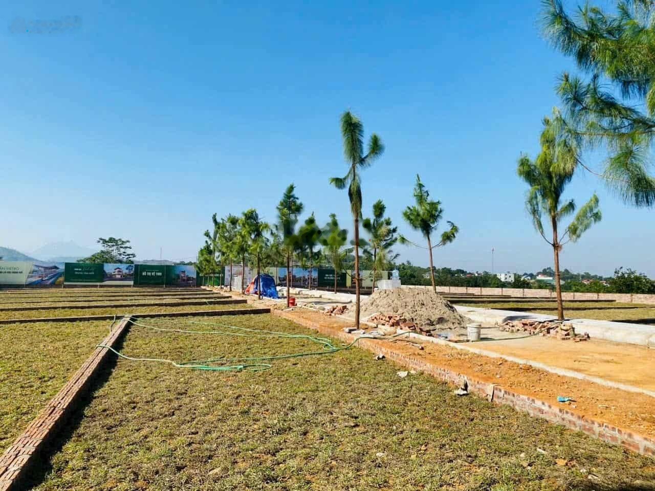 Đất đẹp trung tâm Phú Cát - Thổ cư 100% - Hạ tầng hoàn chỉnh - Giá đầu tư