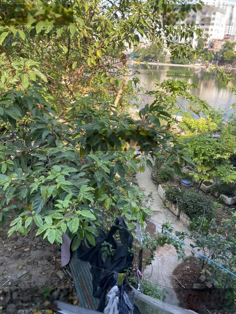 Cần bán nhà mặt phố dương văn bé chính chủ