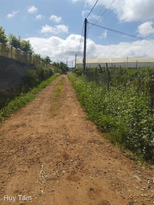 Siêu phẩm đất nền Ka Đô, tọa lạc ngay mặt tiền đường nhựa 412 sầm uất