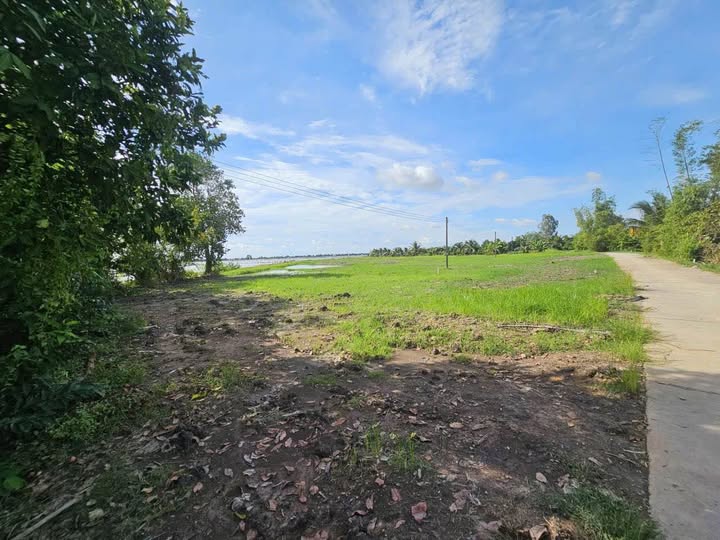 Đất lúa 'hái ra tiền' - Sổ đỏ bao la, giá 'hời' như trúng số