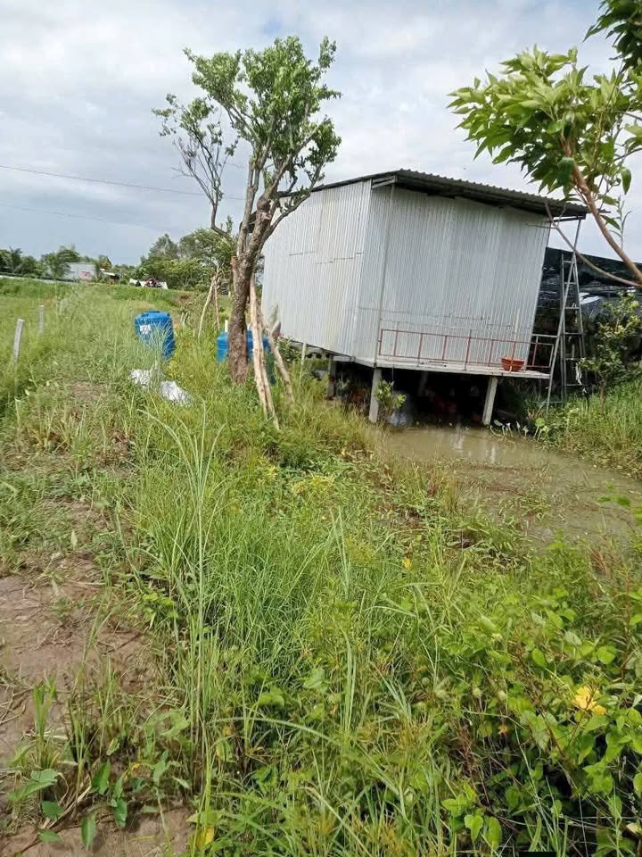 Bán đất vườn 1500m² Sa Đéc - Sẵn nhà tiền chế, giá hợp lý