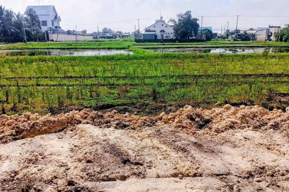 Bán đất nền sổ hồng riêng, 960 triệu/lô, Đức Hòa, Long An