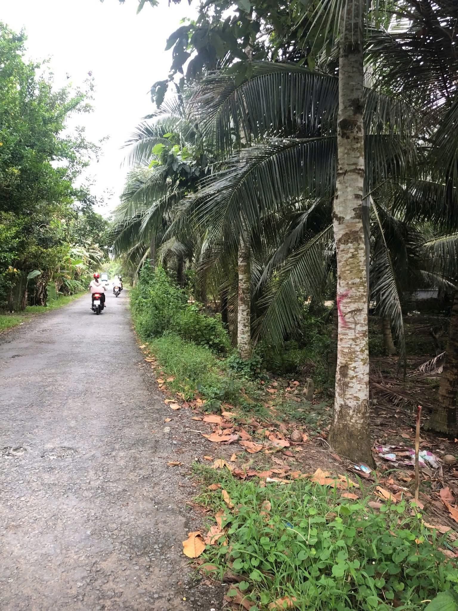 Cơ hội sở hữu ngay nền đất mặt tiền đường nhựa rộng rãi, chuẩn bị mở rộng tại xã Phú Thuận