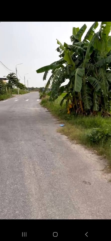 Mảnh đất vàng đang chờ chủ nhân xứng tầm tại xã Mỹ Thành, Nam Định, chỉ cách khu công nghiệp Hoà Xá 500m