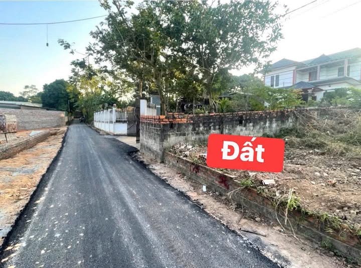 Bán đất 113m2 mặt đường 6m tại Hoàng Hoa, Tam Dương, Vĩnh Phúc