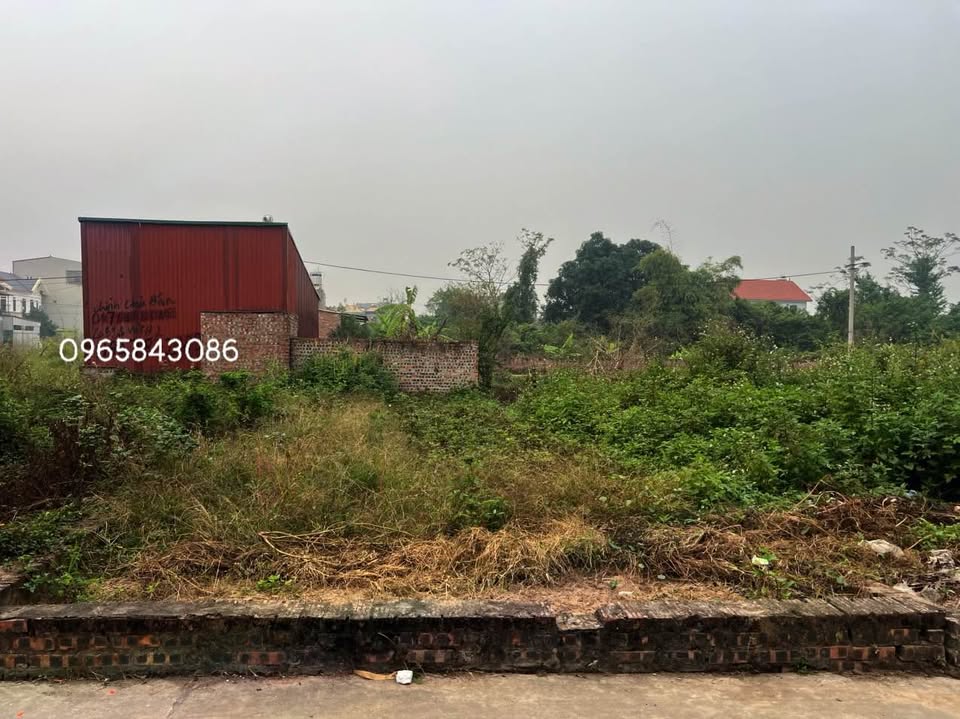 Cơ hội sở hữu ngay lô đất vuông vắn, full thổ cư với diện tích 59.5m² tại Ấp Tre