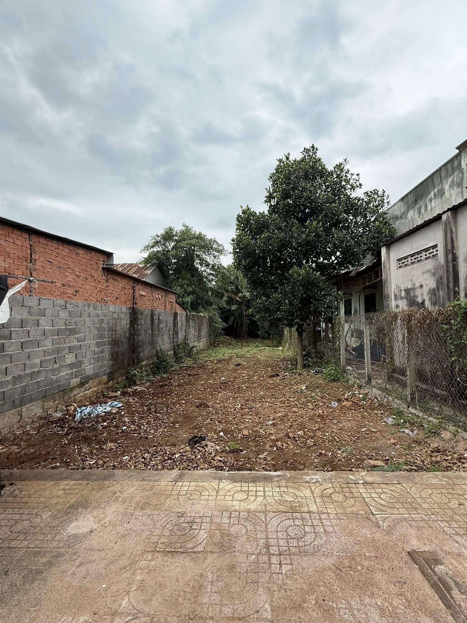 Đất mặt tiền kinh doanh Hương Lộ 2, Bà Rịa, 293m2, giá tốt