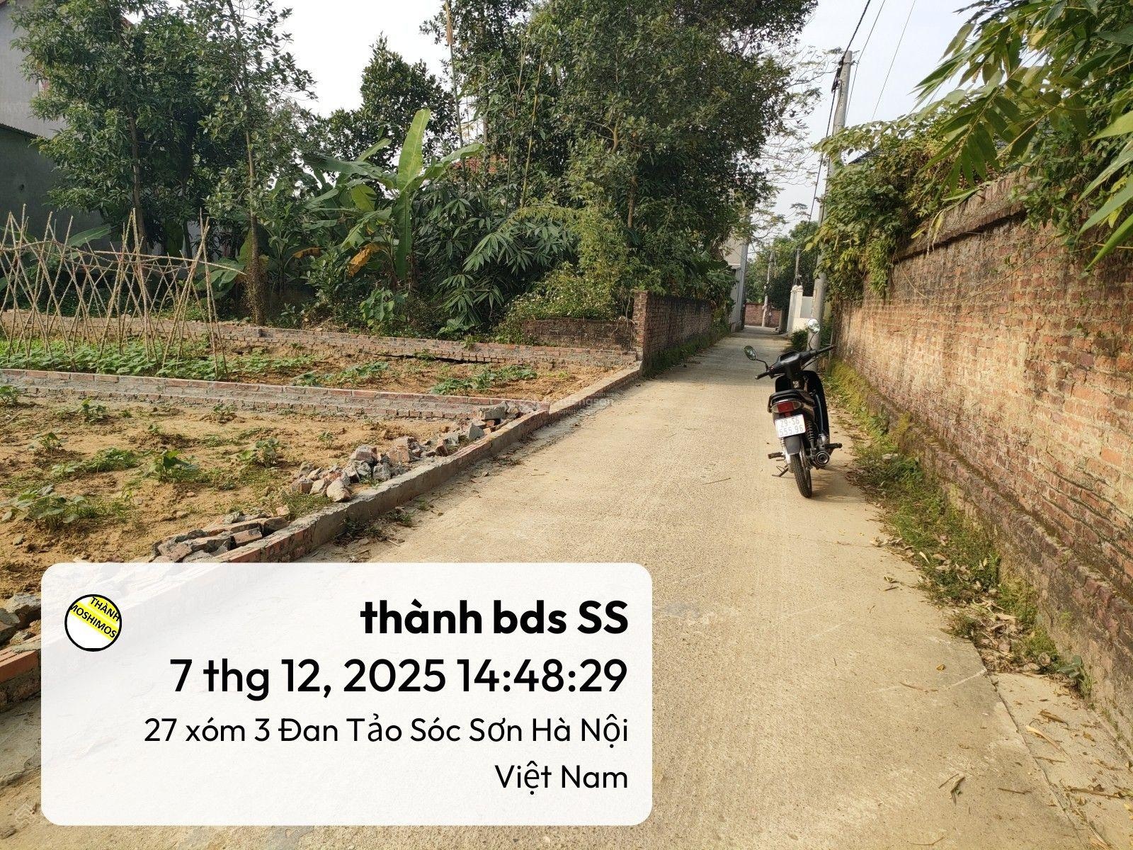 Chủ kẹt tiền kinh doanh . bán mảnh đất tại đan tảo ,tân minh,sóc sơn . 500m ra đh điện lực