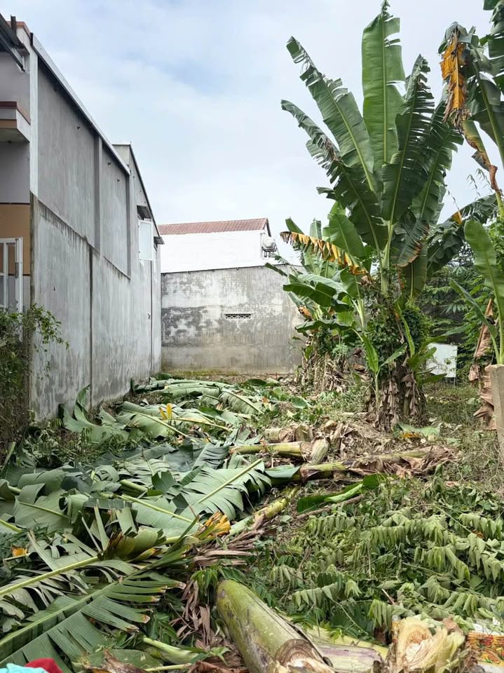 Tìm đất xây tổ ấm hay đầu tư sinh lời tại trung tâm thị trấn Diên Khánh, Khánh Hòa