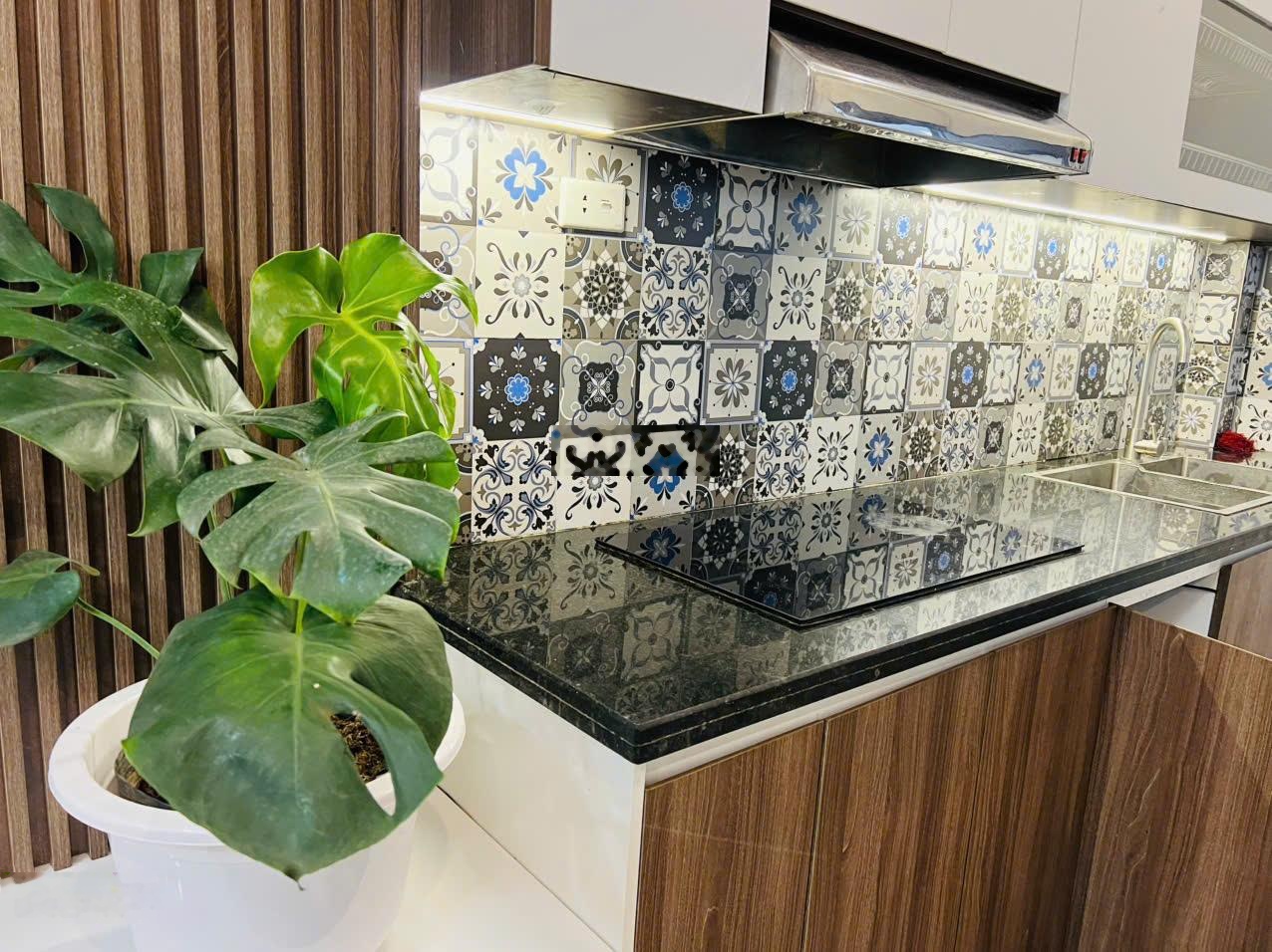 Nhà 4 tầng Thôn Mùi - Bích Hòa Thanh Oai - giáp KĐT Vin Olympic, Ecopark, Cienco5, QL21B