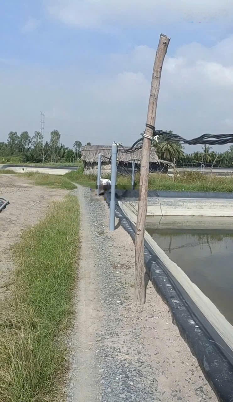 Bán đất 162 m2 cách Đường Rừng Sác 1km đất nông nghiệp