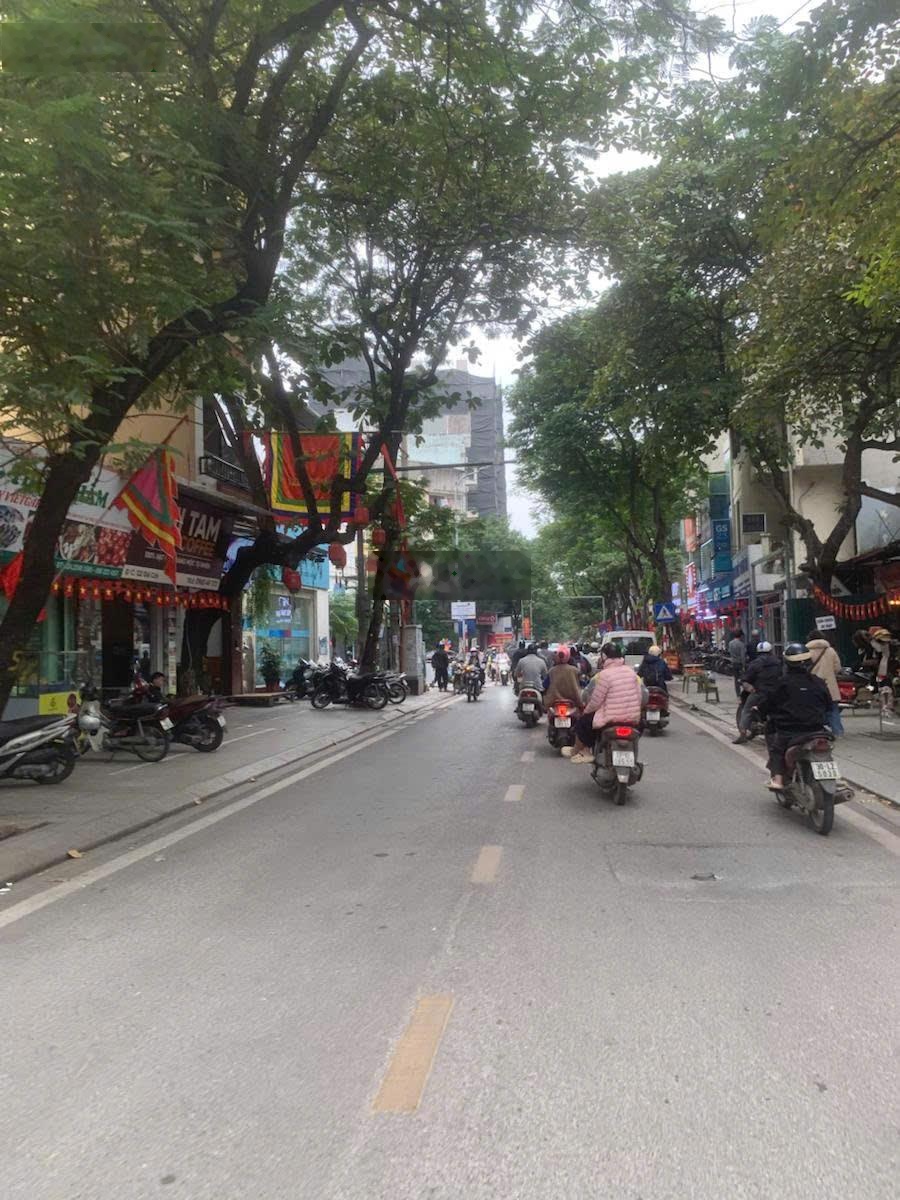 Mặt Phố Đội Cấn Mặt Tiền 6m Dt 115m Kinh Doanh Phù Hợp Xây Building Vị Trí Cực Hiếm