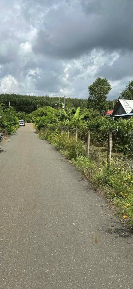 Đất vàng Nghĩa Thành 13m x 18,8m, sổ riêng, đường nhựa oto, giá 750 triệu