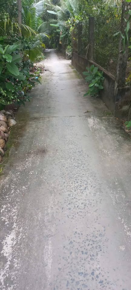 Bán đất nền Tân Thạch, Bến Tre - Sổ thể hiện đường, giá tốt