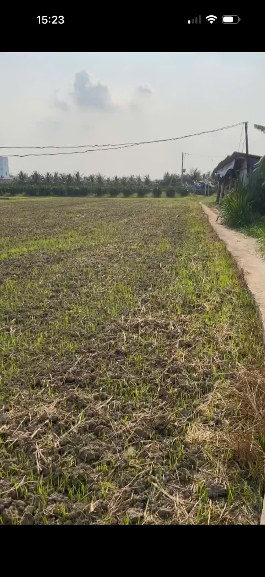 Bán 2 công đất lúa Nhơn Thạnh Trung, Long An, vị trí đắc địa, giá tốt