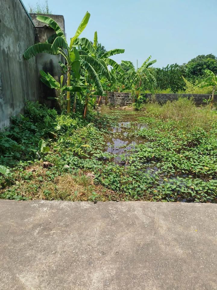 Nhà Quang Trung, Nam Định, ô tô bon bon, giá ố dề