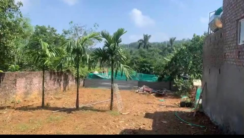 Đất Phúc Thọ 439m2 vuông vắn, view thoáng, tiềm năng đầu tư