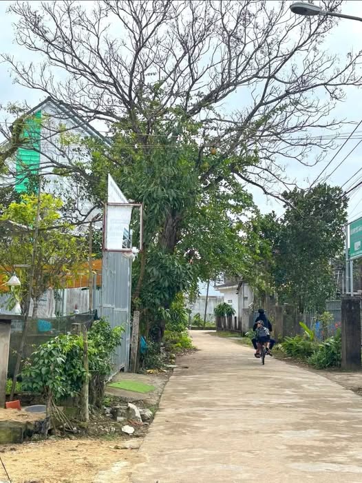 Bán Nhanh 2 lô đất vàng An Phú, sổ đỏ trao tay, giá hời