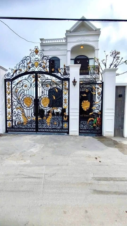 Nhà mới xây 6x22m, tặng nội thất, giá 3.25 tỷ tại Đức Hòa, Long An