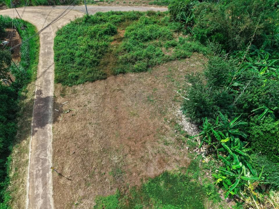 Đất Sông Nhạn - Cẩm Mỹ, 189m² thổ cư, sẵn sàng đầu tư sinh lời