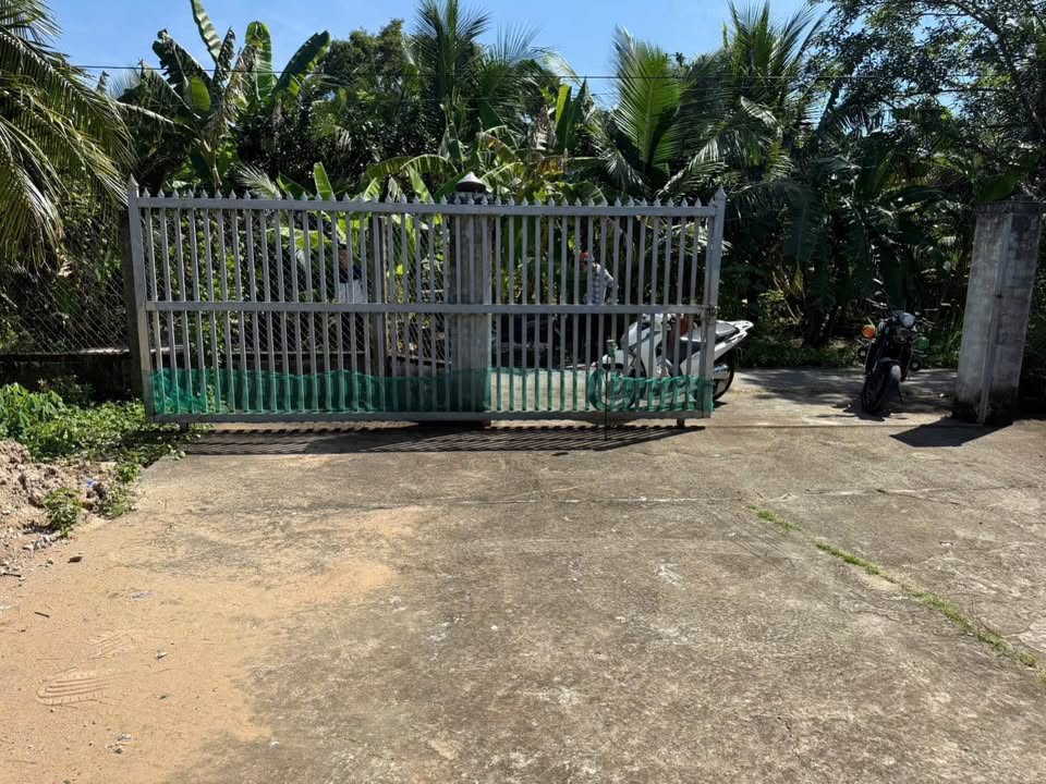 Bến Tre, đất vườn dừa tặng nhà tiền chế, sổ hồng thể hiện đường, giá rẻ như cho