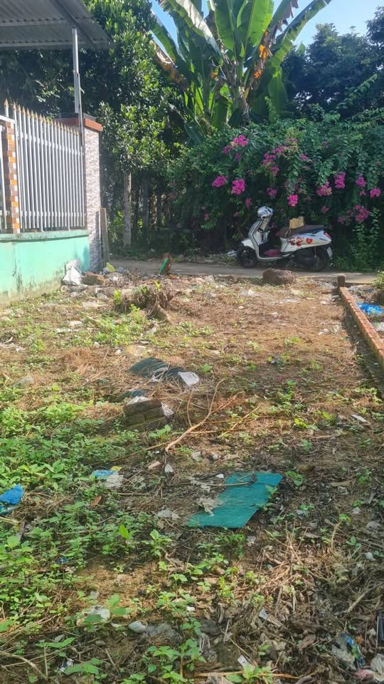 Đất thổ cư 132,8m2, 4,1m mặt tiền, hướng Đông Bắc, chỉ 490 triệu