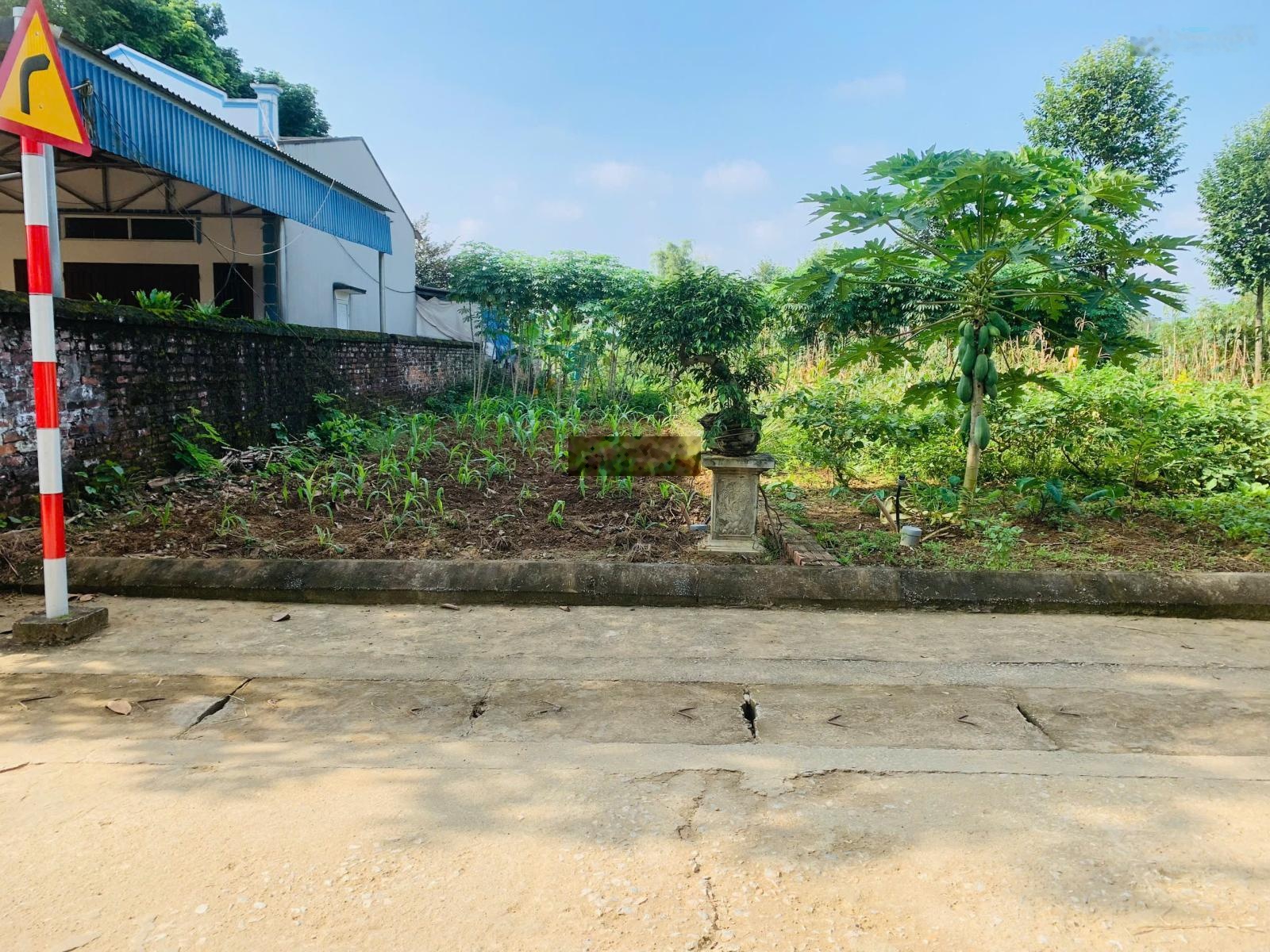 Chính Chủ bán lô đất trục chính Cổ Đông, giá chỉ 1.6 tỷ, view hồ Đồng Mô, cách tỉnh lộ 446 chỉ 100m