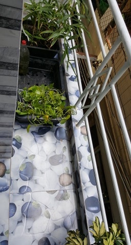 Cho thuê nhà 1 trệt 2 lầu - 2pn- 2 ban công - 2 wc (đầy đủ tiện ích - không ngập)