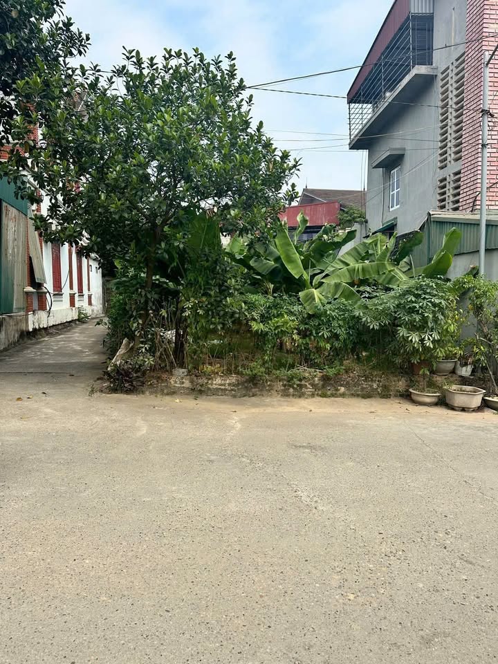 Bán ô đất 2 mặt tiền đắc địa tại An Đạo, Tỉnh Phú Thọ