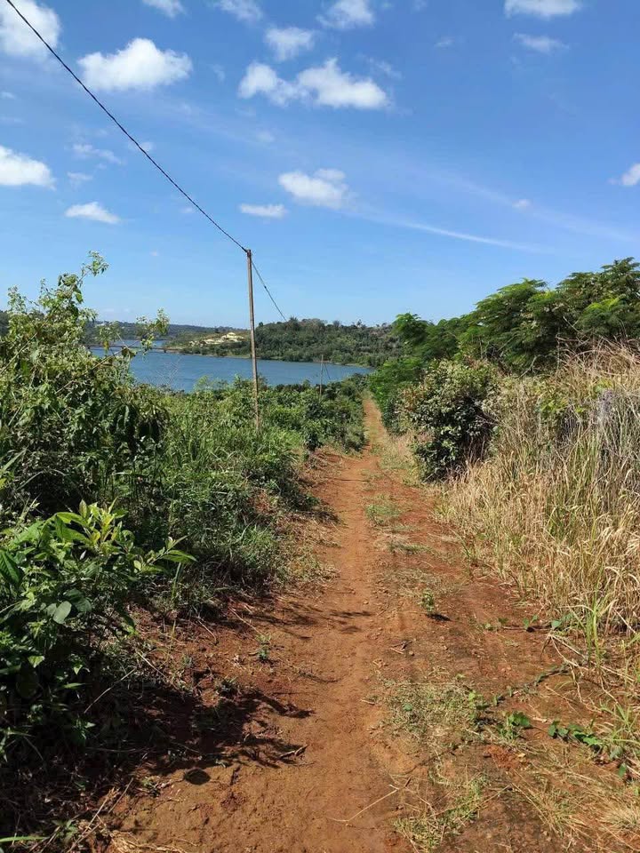 Đất view hồ Lâm Đồng, 105m² đất bằng phẳng, nghỉ dưỡng lý tưởng