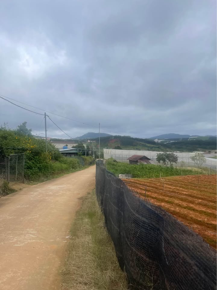 Vườn 5 sào xịn sò, điện nước đầy đủ, giá hời như mơ