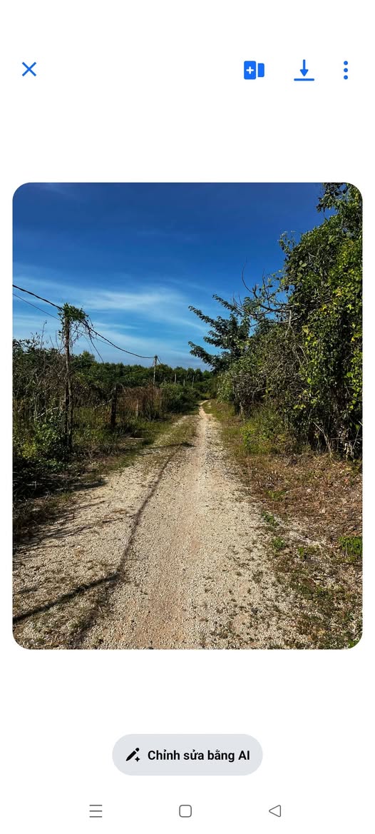 Siêu phẩm đất vườn nhãn tại Hòa Hiệp, Xuyên Mộc, Bà Rịa - Vũng Tàu đây rồi