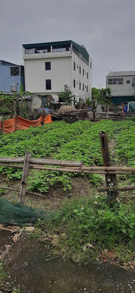 Đất Vinh Hưng - Vuông vắn 89.7m2, mặt tiền 6m, đường 2 ô tô tránh - Giá 'hời' cho nhà đầu tư