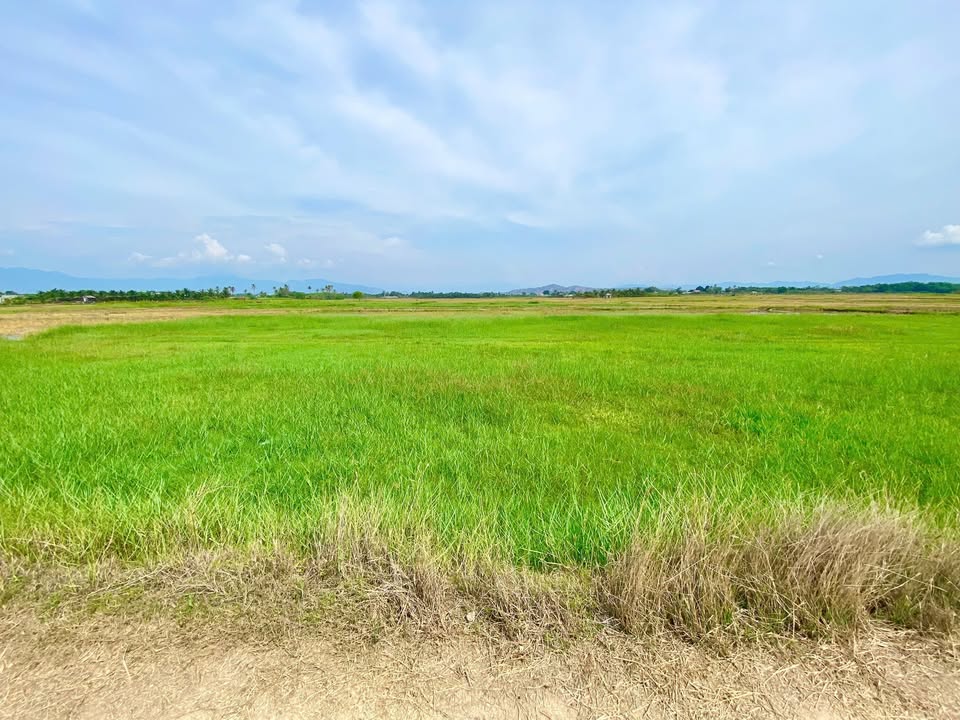 Đất vàng Lương Tri 1082m2 hướng Đông Bắc, bám mương, gần dân cư