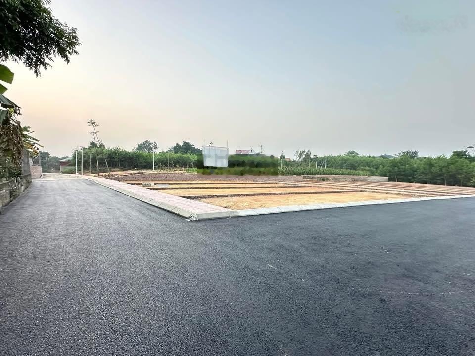 Đẹp mê hồn đất Ba Vì Hà Nội. Hàng hiếm - giá tốt - xuống tiền là thắng. 100m 650tr