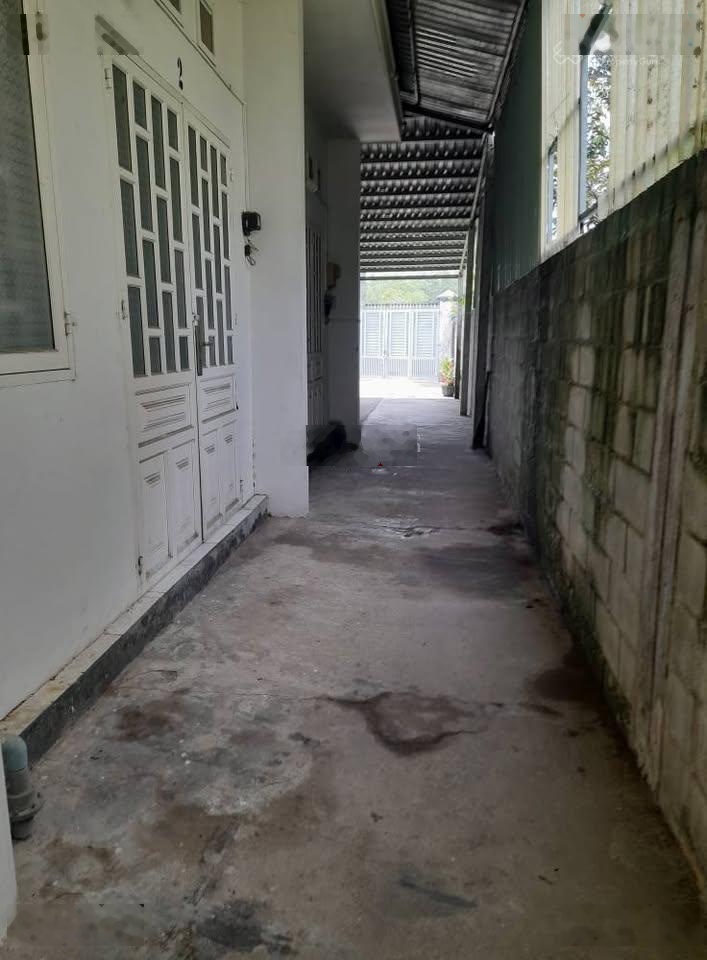 Dãy trọ 223m2 giá 1 tỷ ở gần cầu vượt, xã Tân An Hội, Củ Chi có sổ hồng riêng