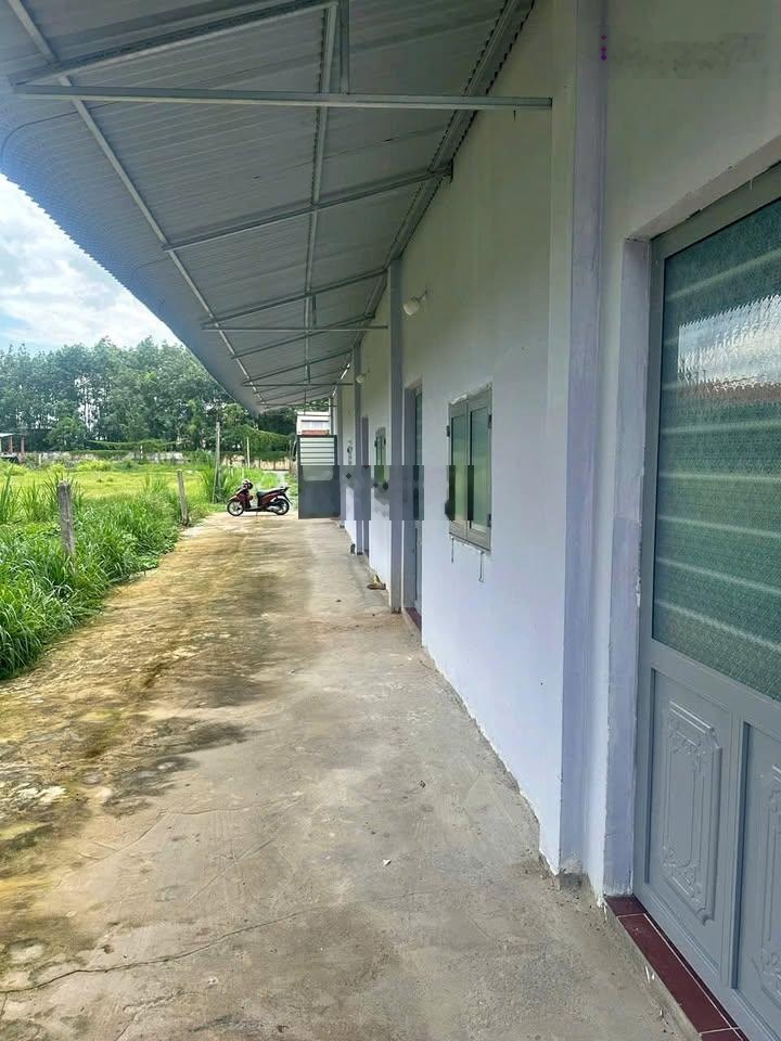 Bán dãy Trọ đường Suối Lội ngay cạnh Văn Phòng Ấp, 150m2 SHR, Gía chỉ 1.25 Tỷ.