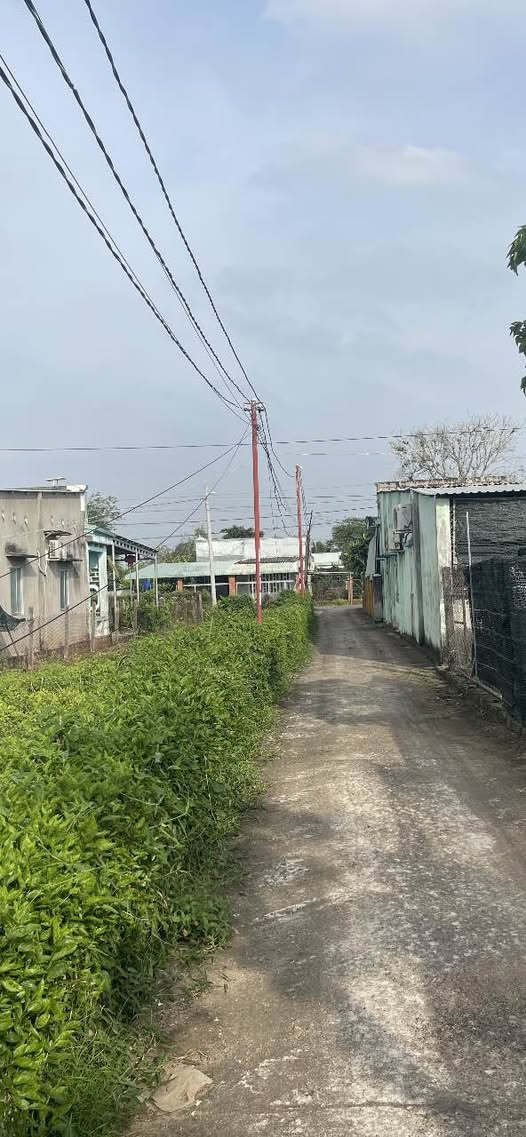 Chủ nhà đang muốn 'chia lửa' 2 lô đất liền kề siêu xinh tại Bà Rịa - Vũng Tàu