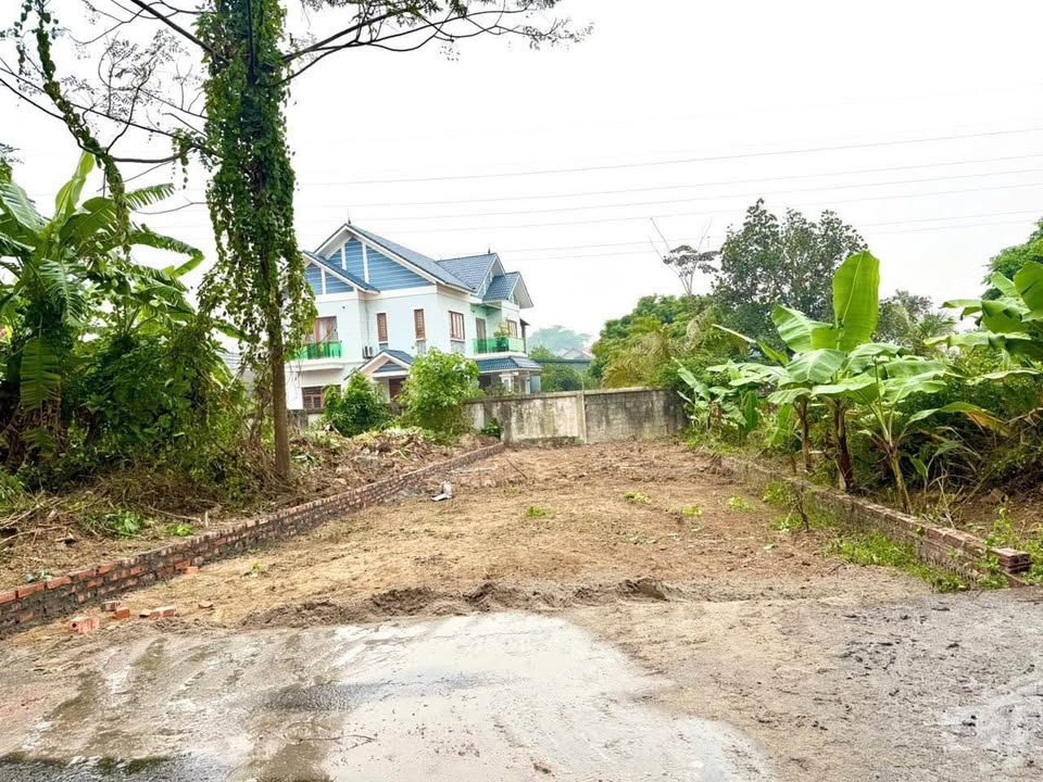 Bán gấp lô đất 111.4m2 hướng Đông Nam tại thôn Chùa Tiếng, Bình Xuyên