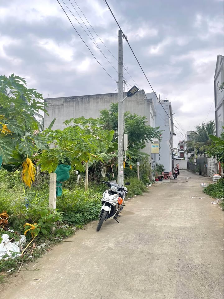 Mảnh đất vàng ven khu tái định cư Cầu Bần, hướng Bắc mát mẻ