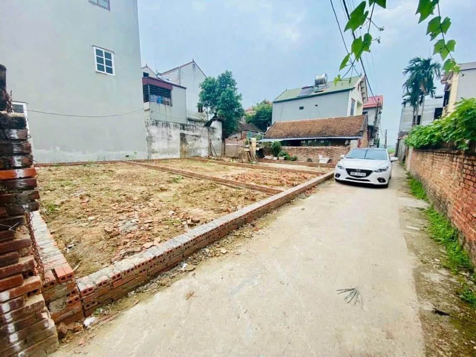 Bán đất vuông vắn 60m² tại Đức Hậu, Sóc Sơn cơ hội đầu tư sinh lời