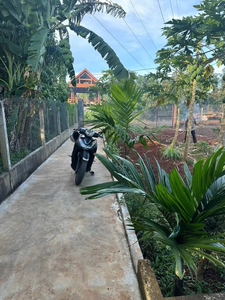 Nhà nhỏ xinh, nở hậu, có sân vườn và 'chuồng trại' riêng, giá hời